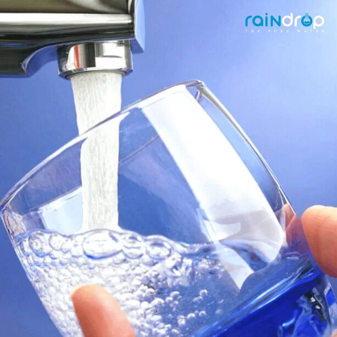 Raindrop Refrigerator Water Filter RDF-1010P Compatible for LG LT1000P