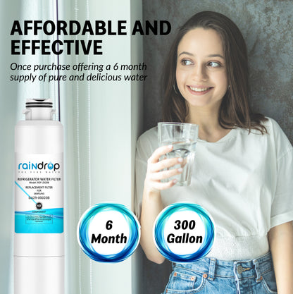 NSF certification icons for Raindrop RDF-2920B water filter, demonstrating quality filtration and safety.