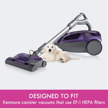 Kenmore EF-1 canister vacuum cleaner in purple and gray with a golden retriever lying beside it, designed for EF-1 HEPA filters.